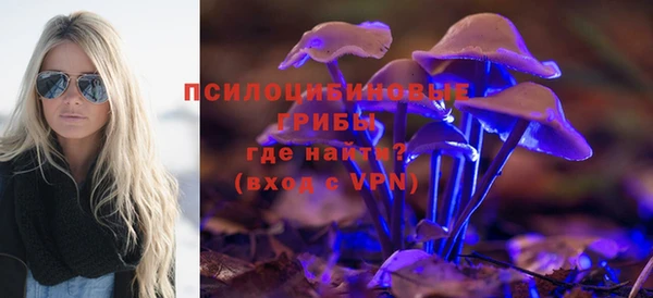 мяу мяу мука Дмитров