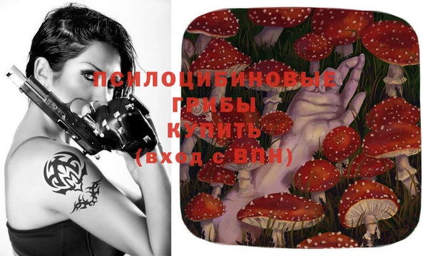 героин Дмитриев